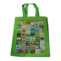 涪陵LB11覆膜无纺布广告袋